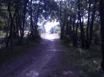 09072009006.jpg