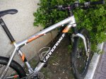 cannondale.jpg