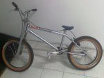IMAG0329.jpg