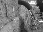 DSC00209.jpg