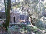 Imagen041.jpg