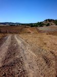 Imagen028.jpg