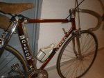 DSC01660.jpg