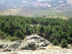mini-18 ESCORIAL-NARANJERA.jpg