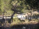 DSCF4375.JPG
