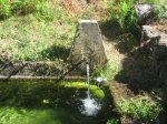 IMG_4174.jpg