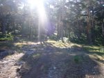 Foto16.JPG