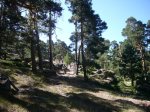 Foto17.JPG