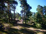 Foto18.JPG