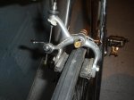 DSC01664.jpg
