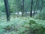 DSC00400.jpg