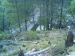 DSC00402.jpg