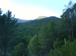 DSC00403.jpg