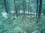 DSC00406.jpg