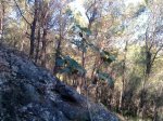 DSC00024.jpg