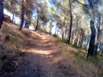DSC00025.jpg