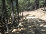 IMG_4194.jpg