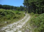 DSCN4185 (Large).JPG