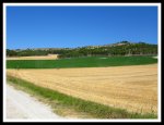 IMG_1418.jpg