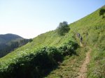 mini-IMG_0370.JPG