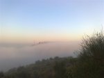 niebla2.jpg