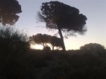 amanecer...jpg