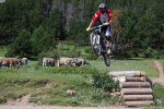 lamolina 020.jpg