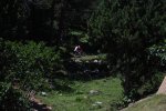 lamolina 060.jpg