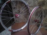 DSC03654.jpg
