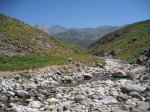 IMG_2040.jpg