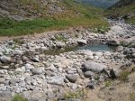 IMG_2045.jpg