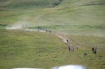 DSC_0595.jpg