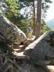 Felix_pr5_2.gif