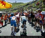 tdf09st09-up[1].jpg