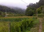 12072009777.jpg