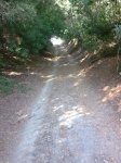 ruta1.jpg