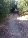 ruta2.jpg
