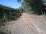 ruta8.jpg