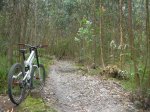 DSCN5101.jpg