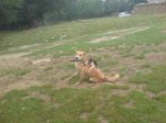 DSC00047.jpg