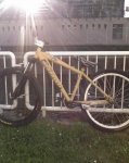 antigua mondraker.jpg