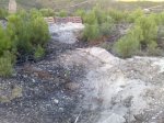 NUEVO DH 08.jpg