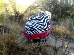 casco the 02.jpg
