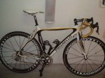 bicipichi004.jpg