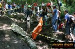 pixapins_IMG_3179.jpg