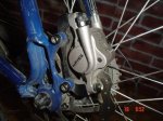 DSC00550.JPG