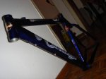 DSC06718.jpg