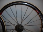 DSC02260.jpg