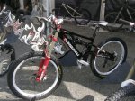 Izimulimited2010-3.jpg