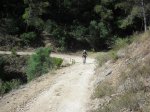 CIMG0086 (Large).JPG